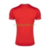 Maillot de Foot Iran Exterieur 2026